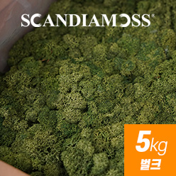스칸디아모스 5kg 벌크