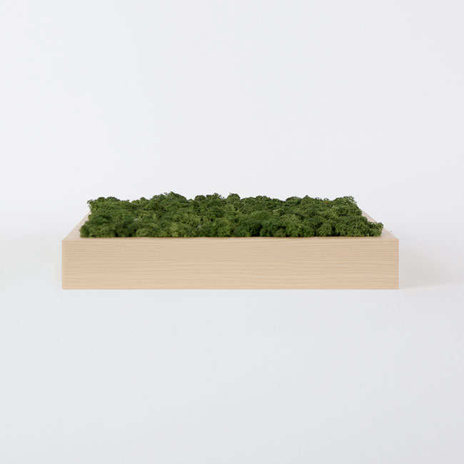 framo-birch-front_195902.jpg