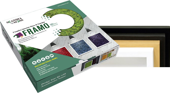 framo_img2_200317.png