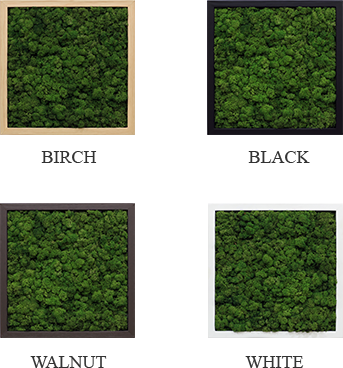 framo_img3_200323.png