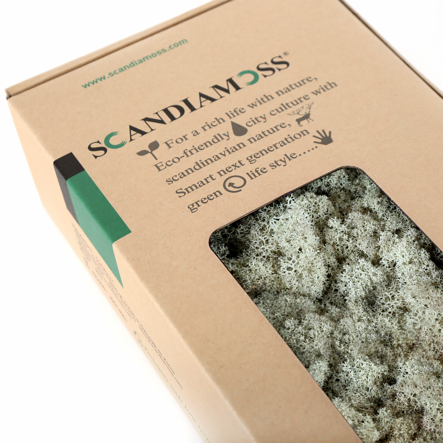 RM500-detail-Natural_170638.jpg