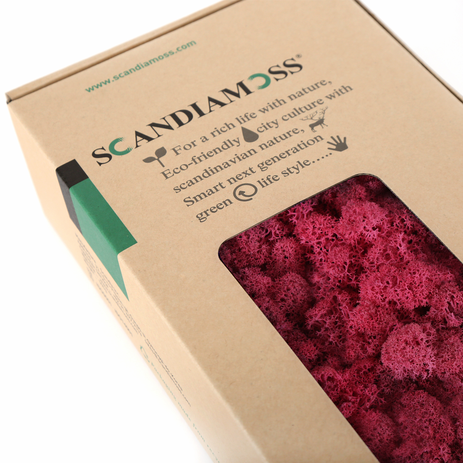 RM500-detail-Cyclamen_174505.jpg