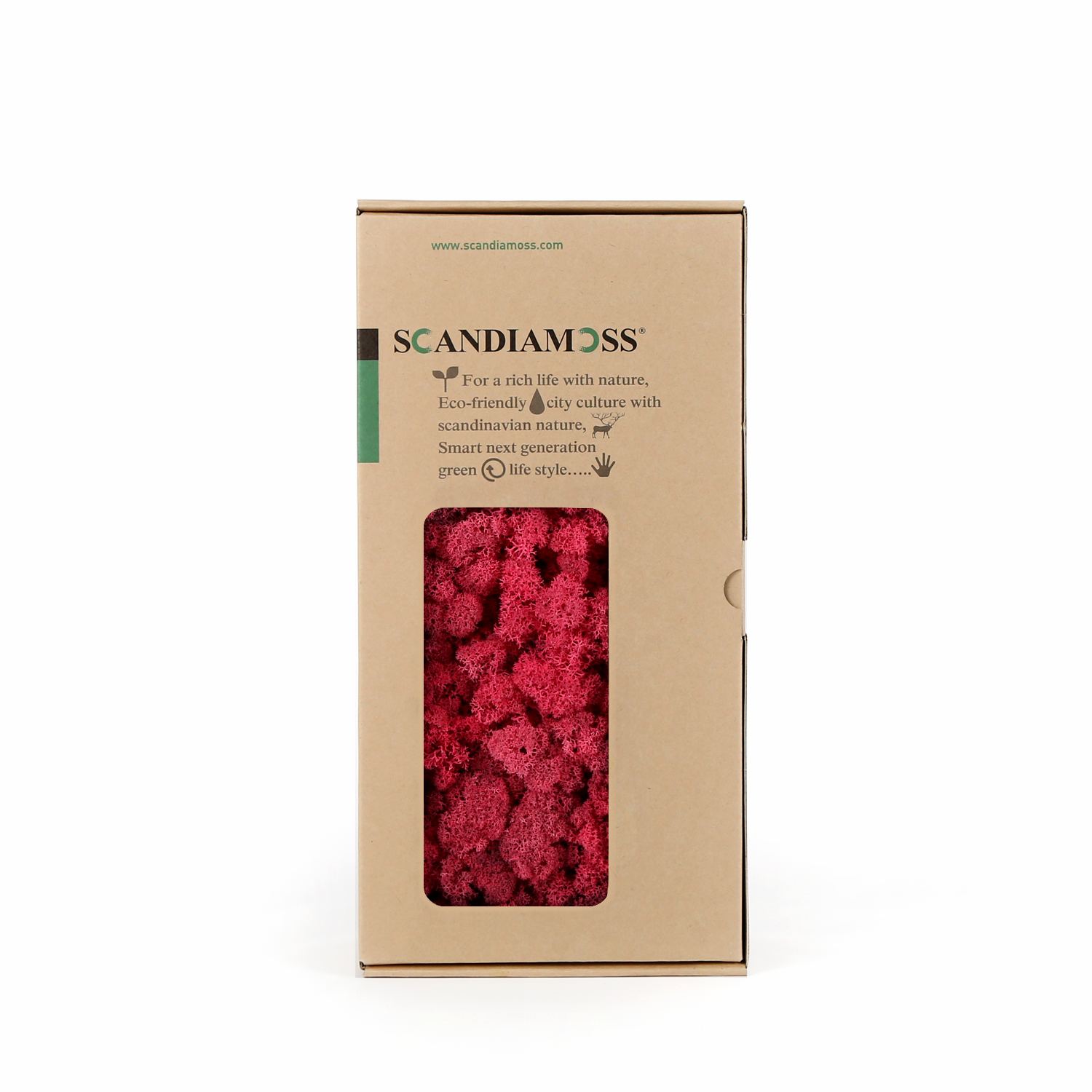 RM500-front-Cyclamen_174504.jpg