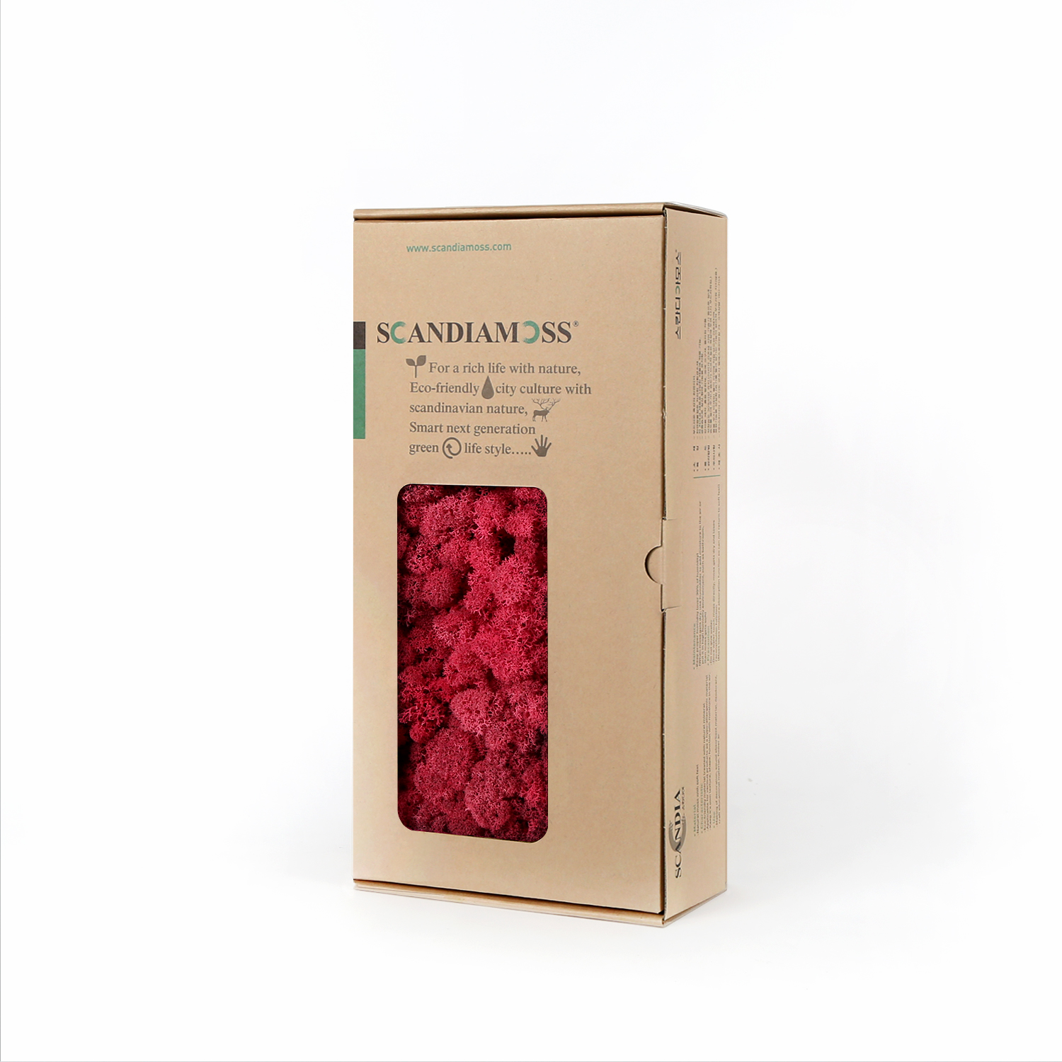 RM500-side-Cyclamen_174504.jpg